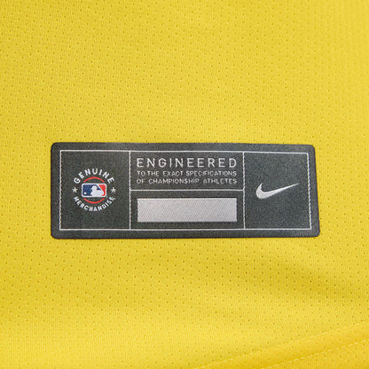 Youth Boston Red Sox David Ortiz City Connect Replica Player Jersey